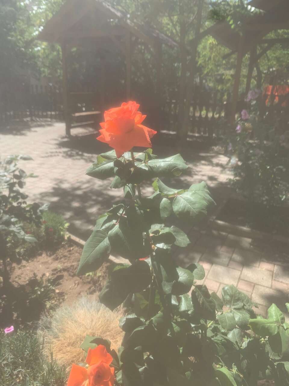 Гостиница Апельсин Саки-117