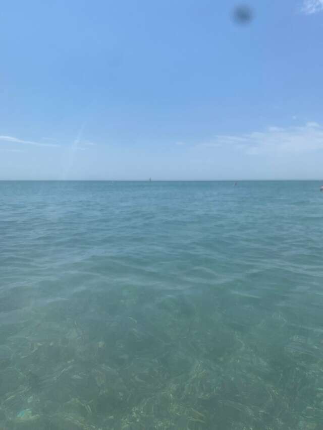 Гостиница Апельсин Саки-115